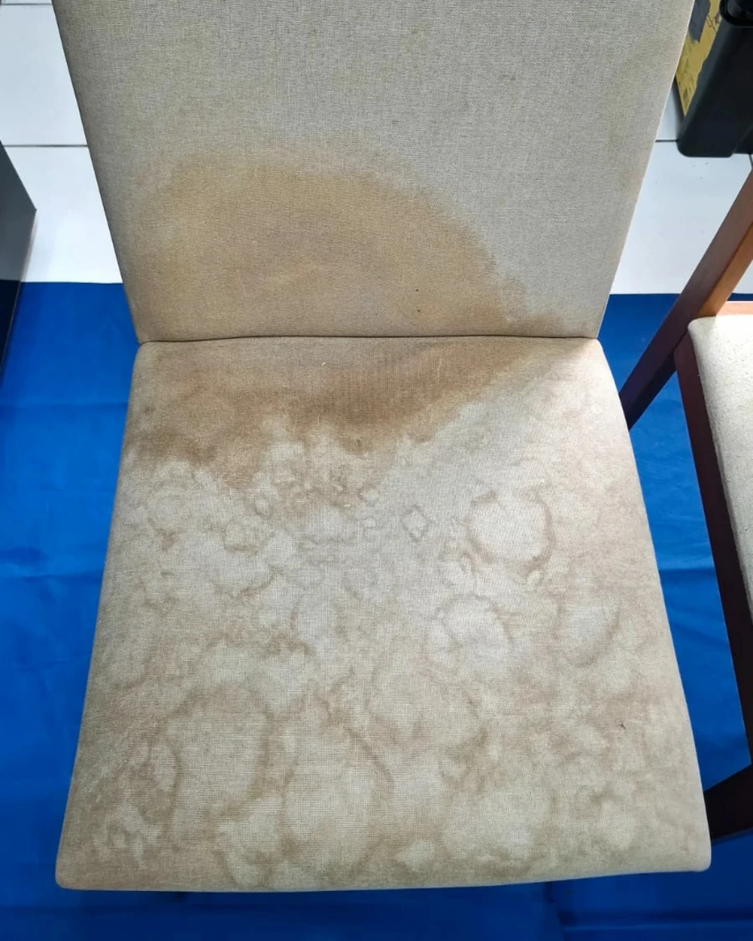 Cadeira de jantar com tecido manchado antes da limpeza profunda